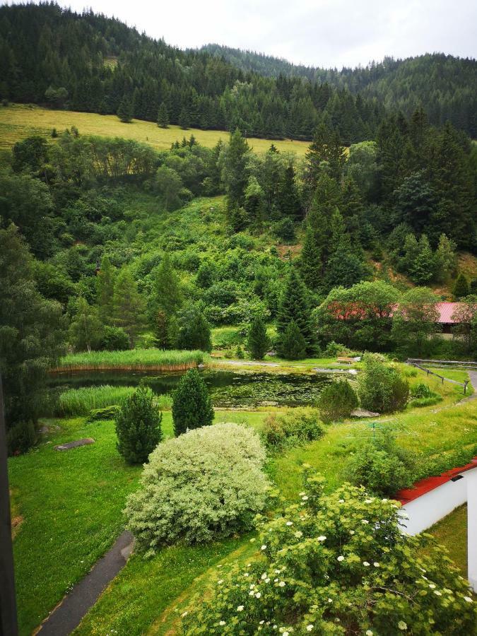 Grassegger Appartementhaus Sankt Johann am Tauern Esterno foto